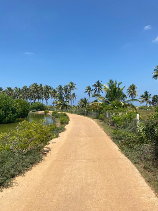 Sea Sand Resort Kalpitiya Esterno foto