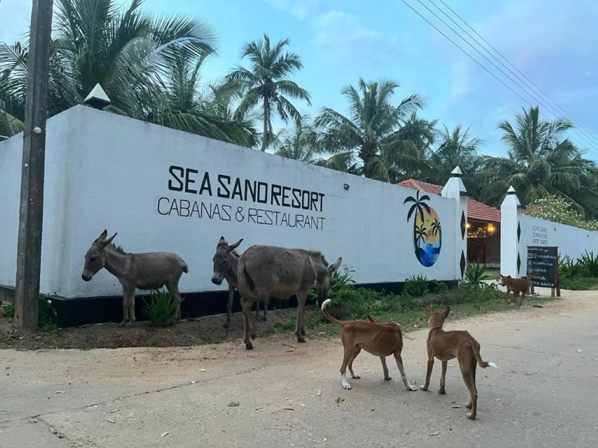 Sea Sand Resort Kalpitiya Esterno foto