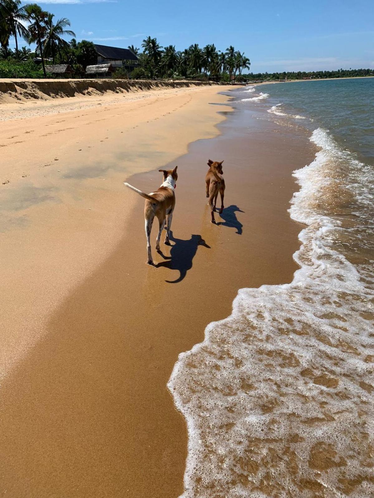 Sea Sand Resort Kalpitiya Esterno foto