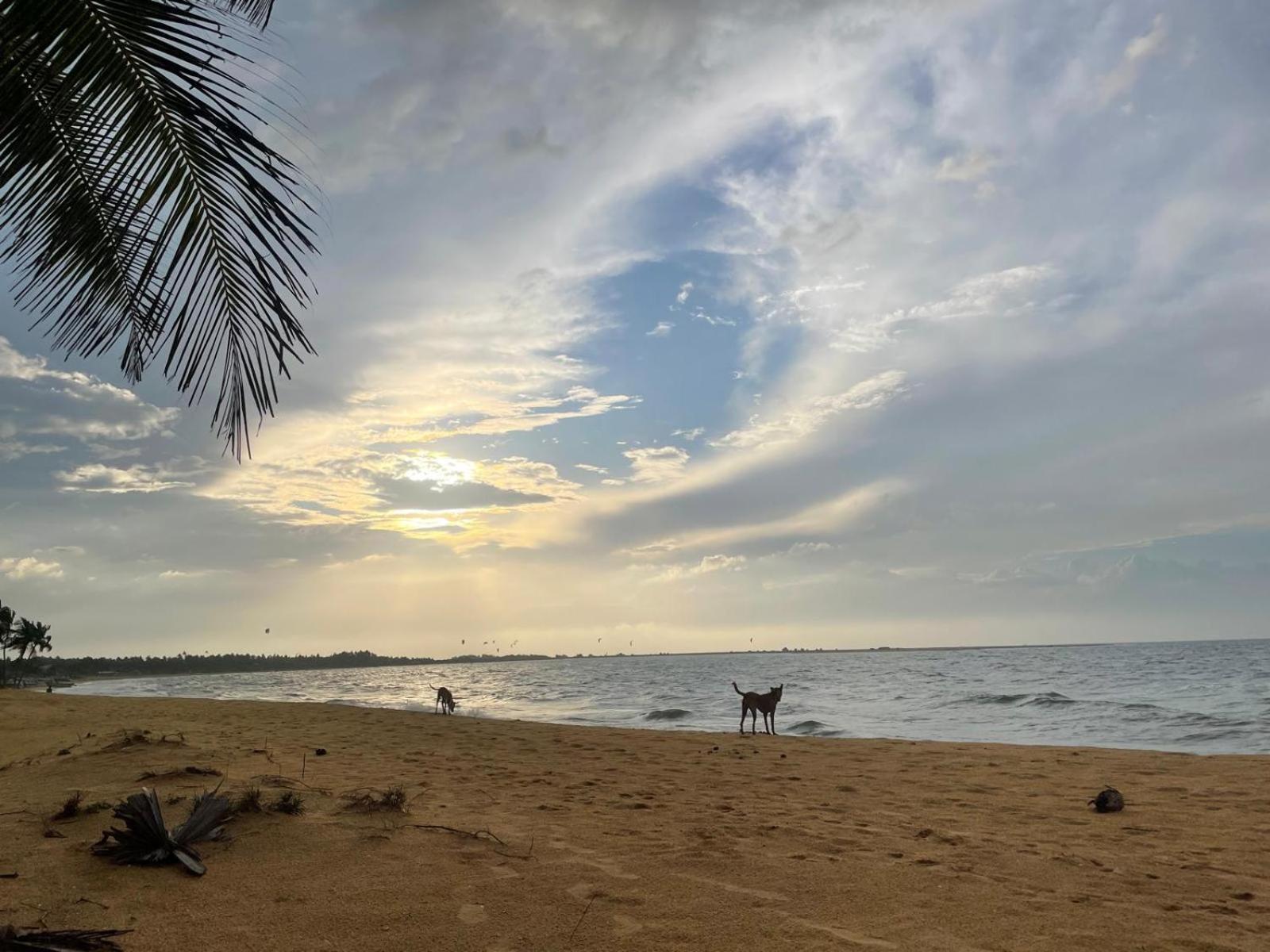 Sea Sand Resort Kalpitiya Esterno foto