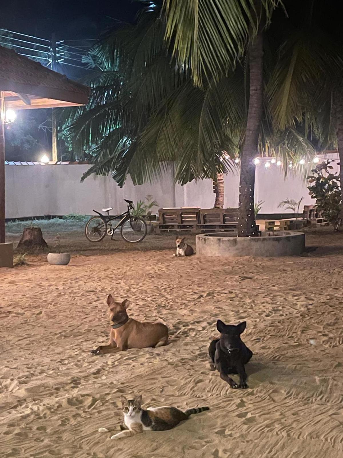 Sea Sand Resort Kalpitiya Esterno foto